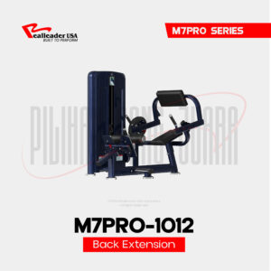M7PRO-1012 Back Extension