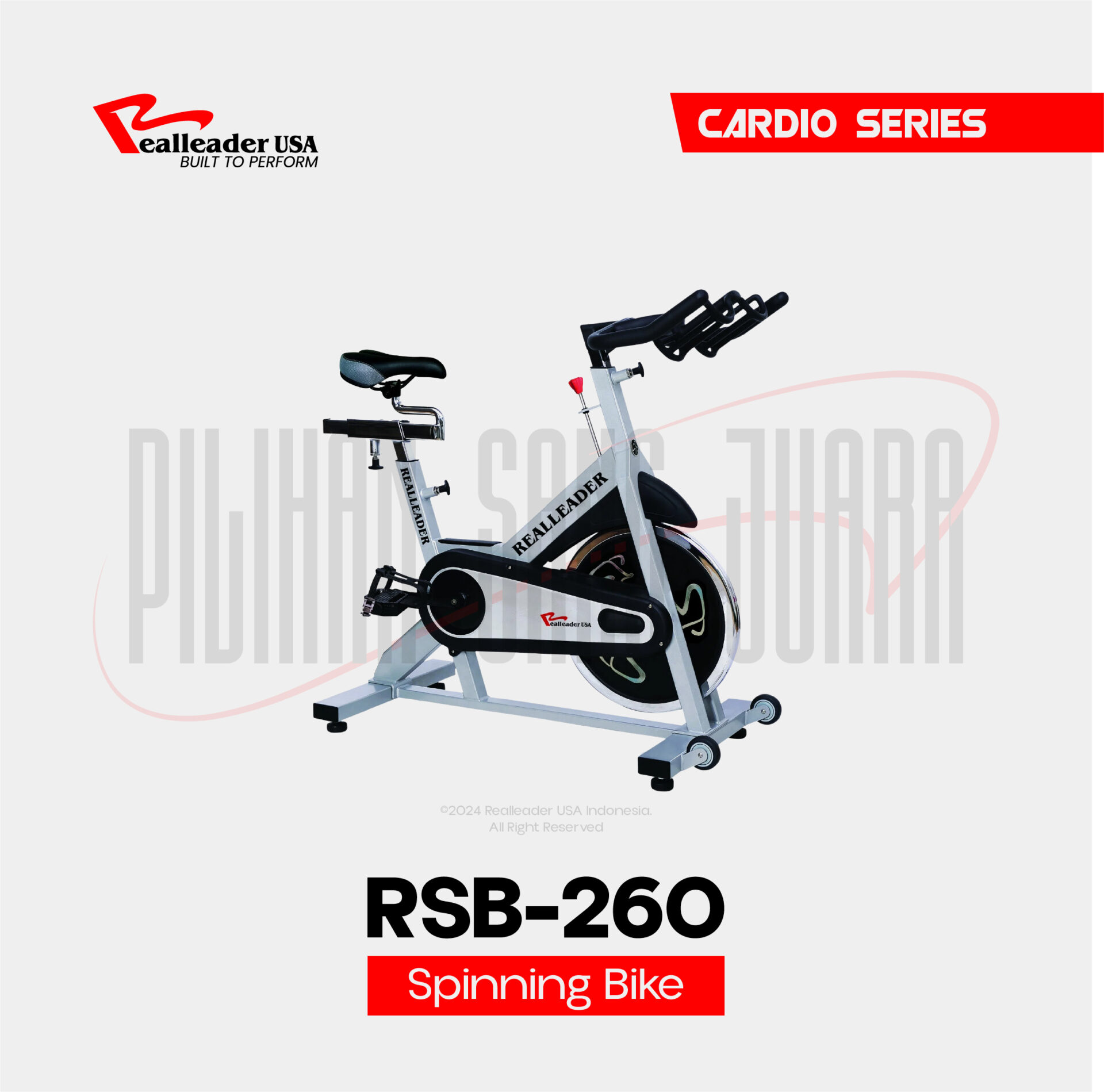 RSB-260 SPINNING BIKE