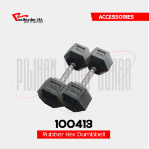 100413 Rubber Hex Dumbbell