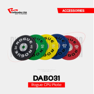 DAB031 Rogue CPU Plate