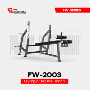 FW-2003 Olympic Decline Bench