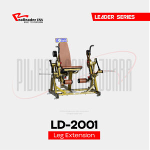 LD-2001 Seated Leg Extenxion