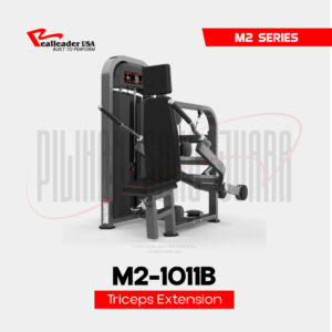 M2-1011B Seated Triceps Extension
