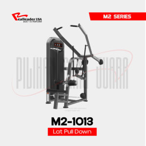 M2-1013 Lat Pull Down