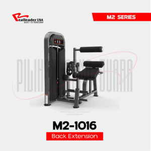 M2-1016 Back Extension