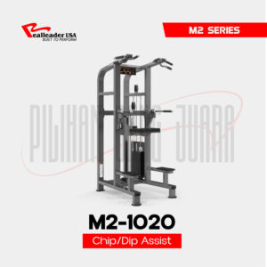 M2-1020 Chin/Dip Assist