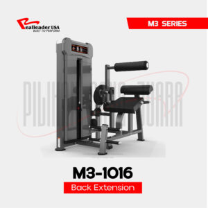 M3-1016 Back Extension