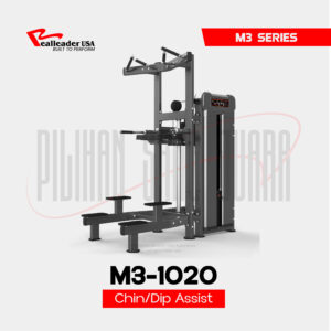 M3-1020 Chin/Dip Assist