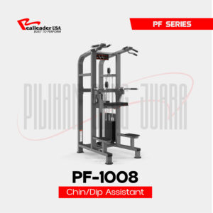 PF-1008 Chin/Dip Assitant
