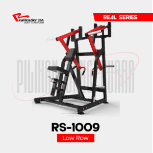 RS-1009 Low Row