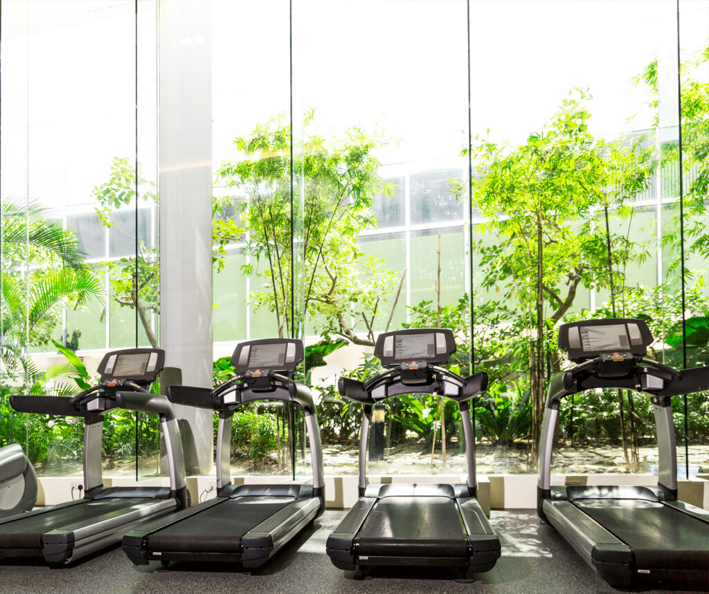 Pencahayaan alami matahari pada Biophilic Design Gym untuk penghematan energi dan kenyamanan.