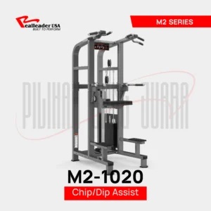 M2-1020 Chin/Dip Assist