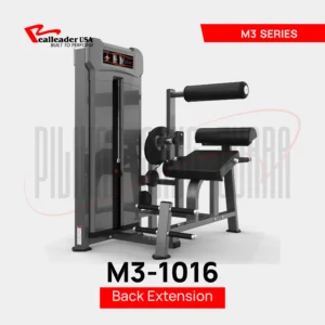 M3-1016 Back Extension