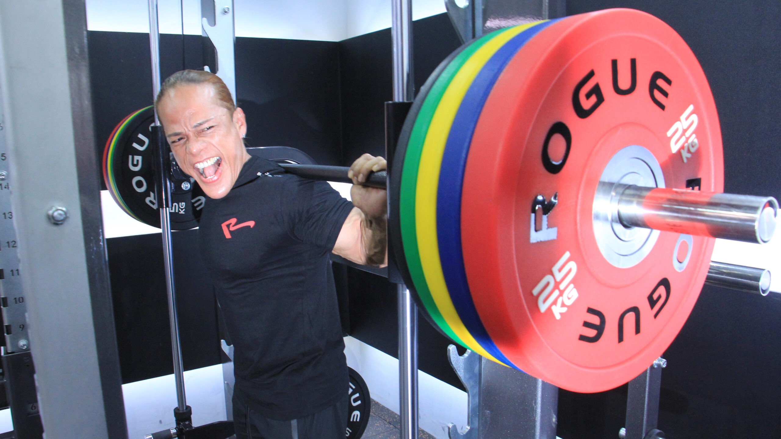 Peralatan kekuatan berkualitas dalam panduan bisnis gym