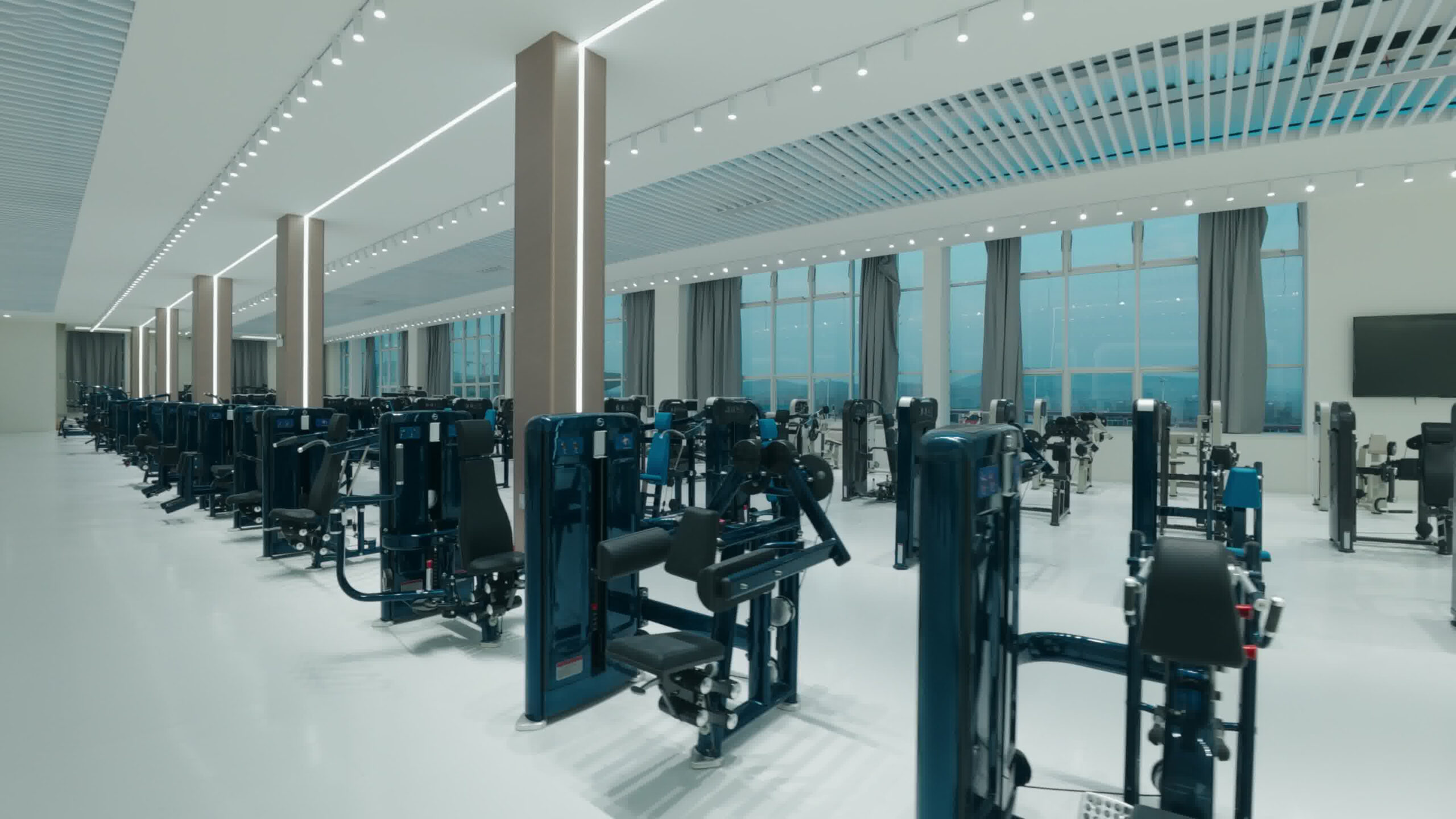 Barisan mesin pin-loaded Realleader USA di commercial gym premium